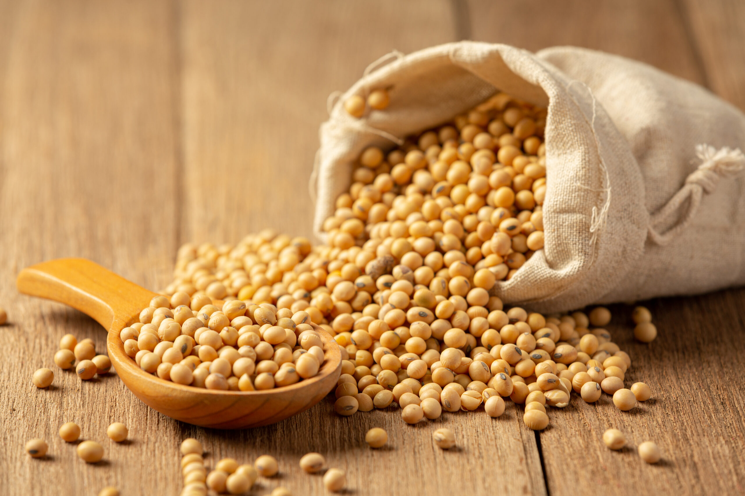 Soybean Sauce and Soybean on Wooden Floor Soy sauce Food nutriti